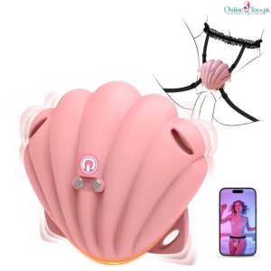 App BDSM Vibrating Panties for Couples